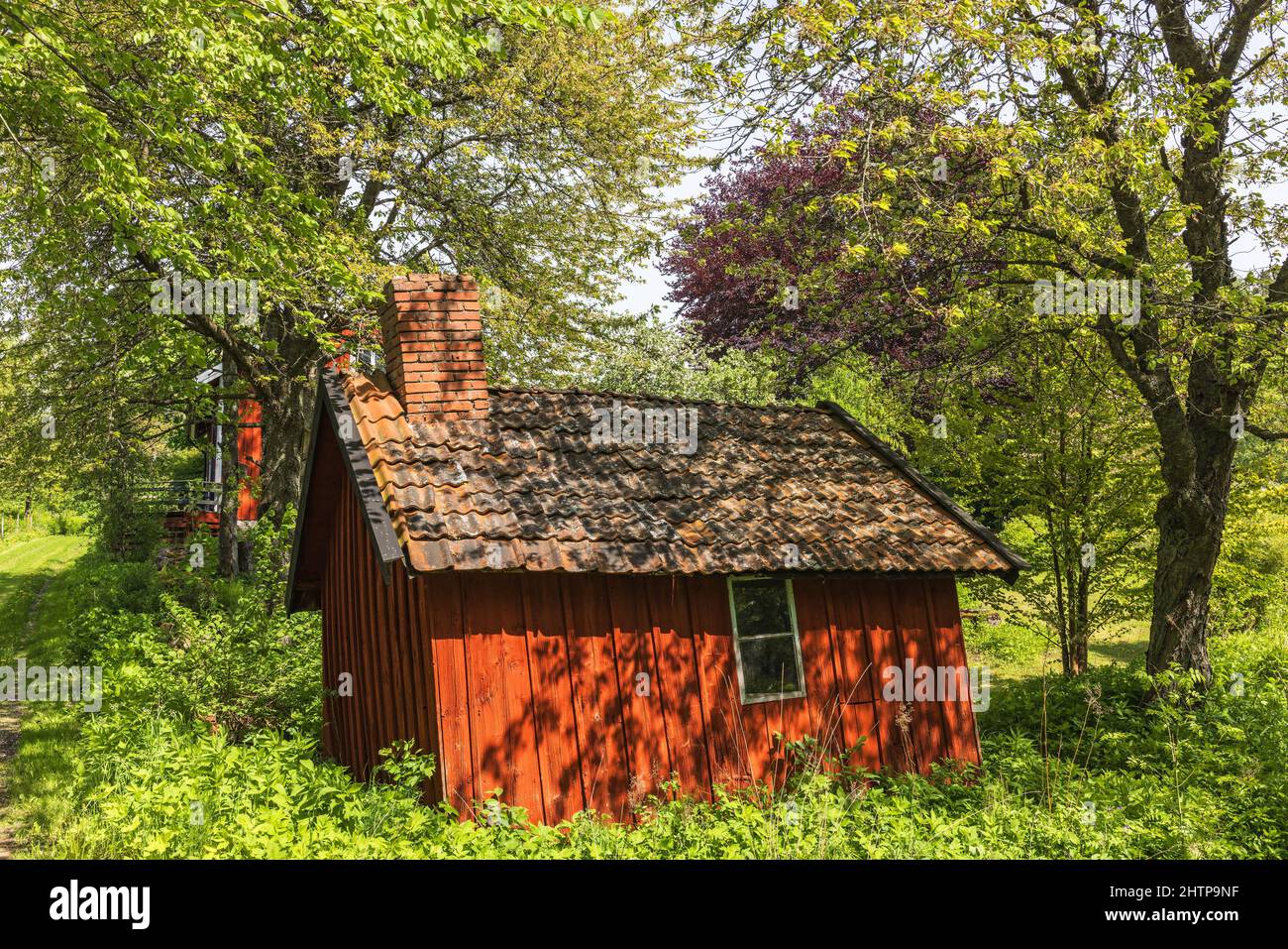 Old shed branches green hi-res stock photography and images - Alamy