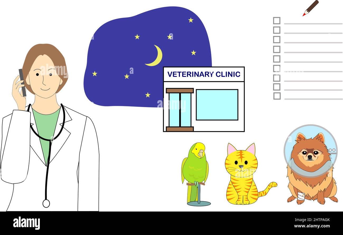 Night scene of veterinarian clinic with a tabby cat in an Elizabethan collar, pomeranian dog, a budgerigar, and a checklist Stock Vector