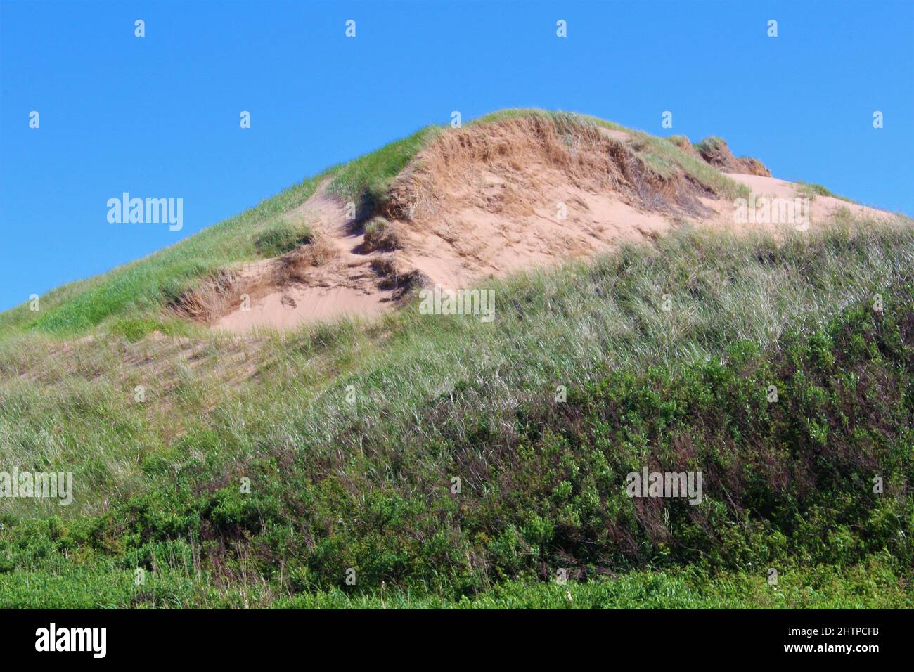 Tertiary sand dune in Eastern Canada along the Atlantic Coast (PEI) Stock Photo