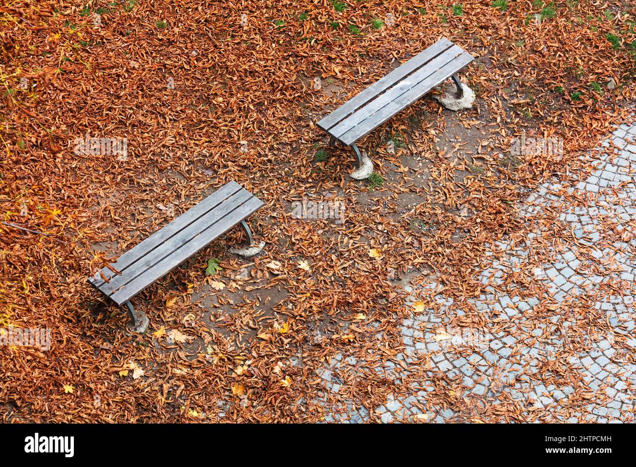 top view on the wooden benches in the park in autumn Stock Photo - Alamy
