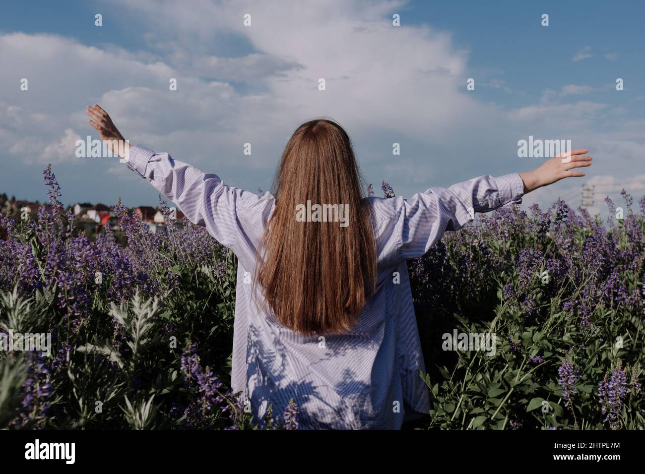 Unrecognizable woman with arms outstretched standing alone among field of  purple flowers in front of blue sky enjoying of sunlight. Girl from the  back Stock Photo - Alamy, image size:1300x956