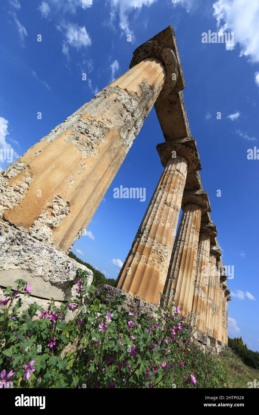 Metaponto, Metaponte, dorischer Heratempel, Tavole Palatine, Basilikata, Italien Stock Photo