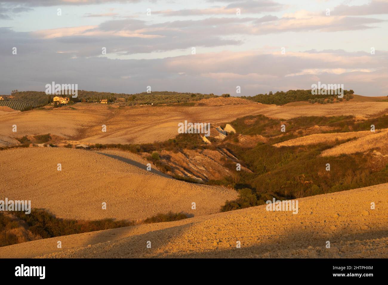 Landscape, Crete Senesi, Asciano village area, Siena province, Tuscany, Italy, Europe Stock Photo
