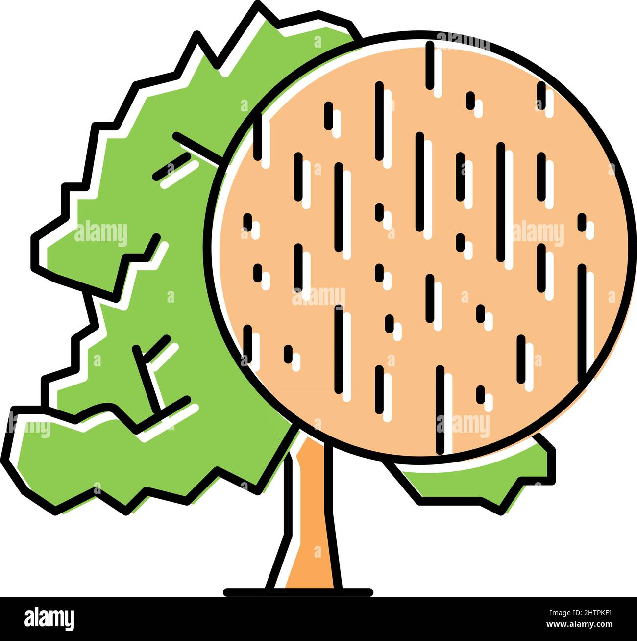 beech wood color icon vector illustration Stock Vector Image & Art - Alamy