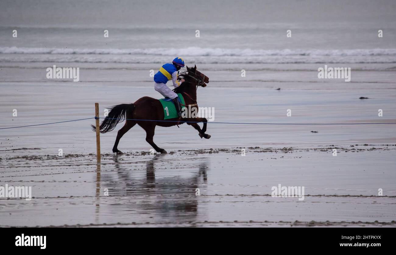 Single race horse and jockey sprinting on the beach. Stock Photo