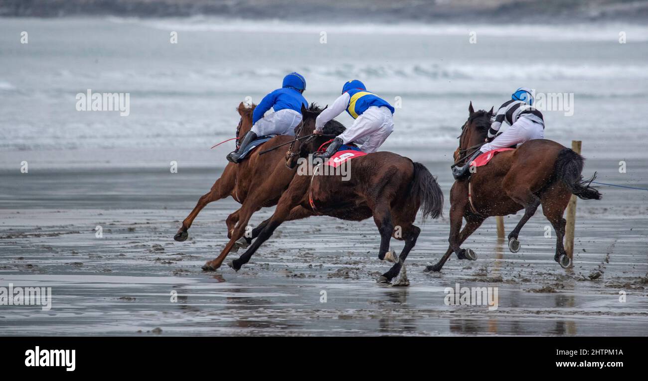 Competing race horses and jockeys sprinting for position. Stock Photo