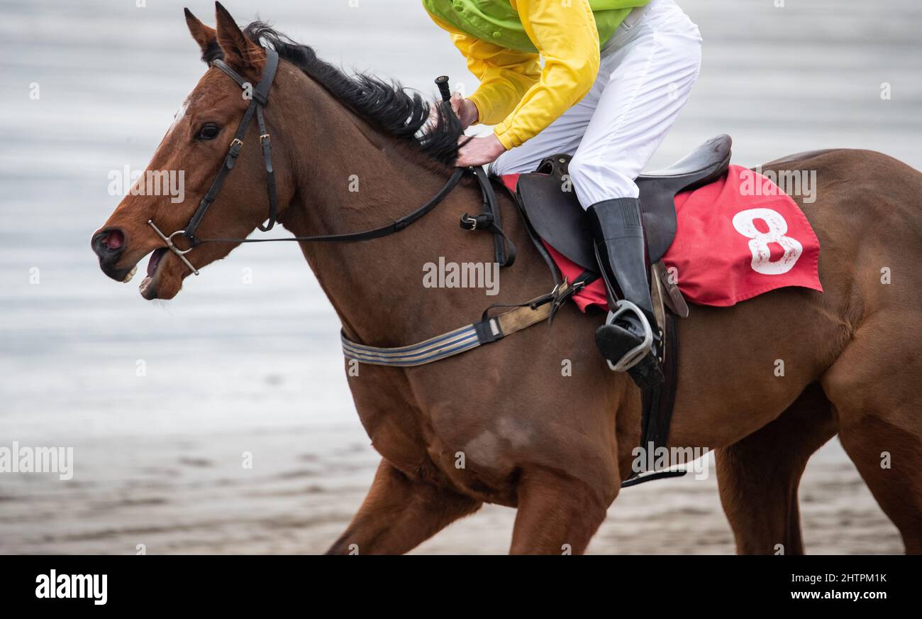 Close up on race horse and jockey running on the beach Stock Photo