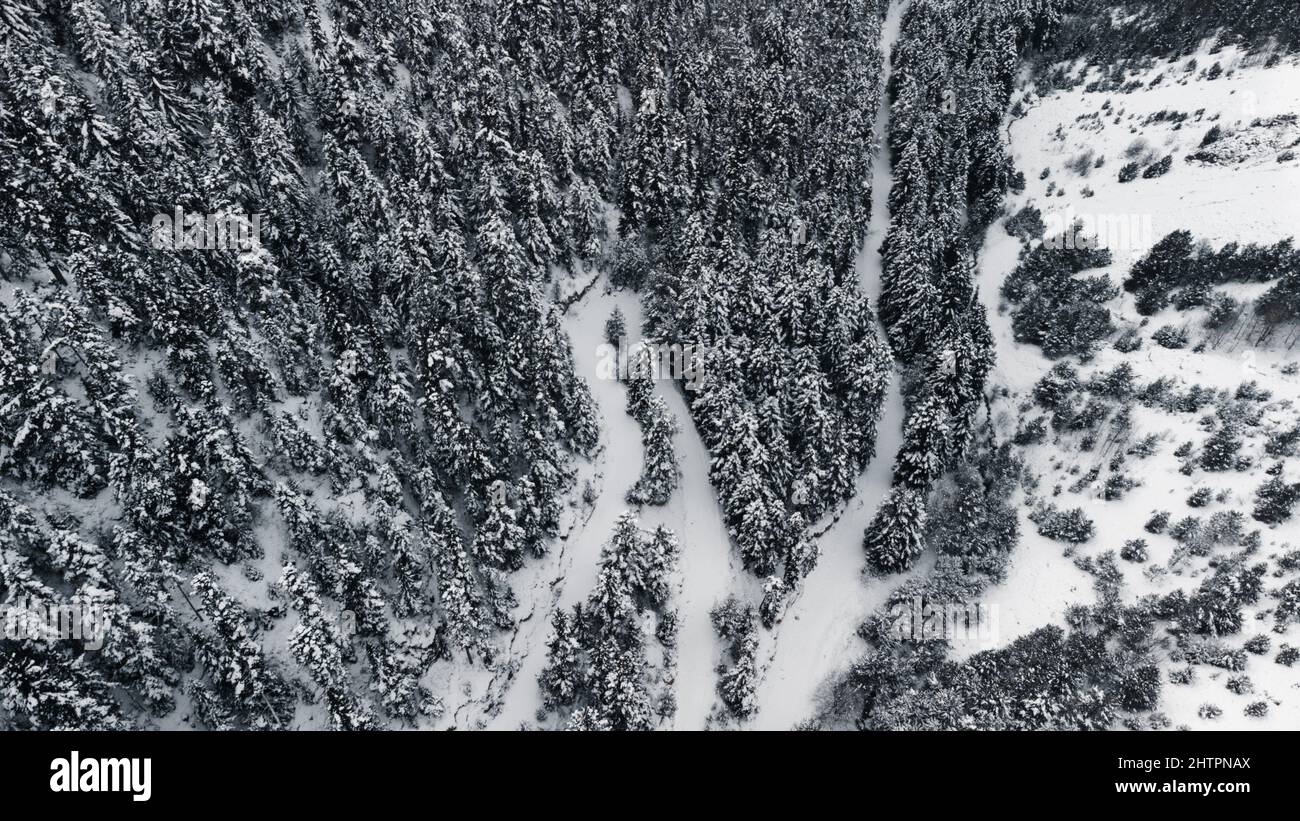 Aerial view of snowy white trees on a mountain Stock Photo - Alamy