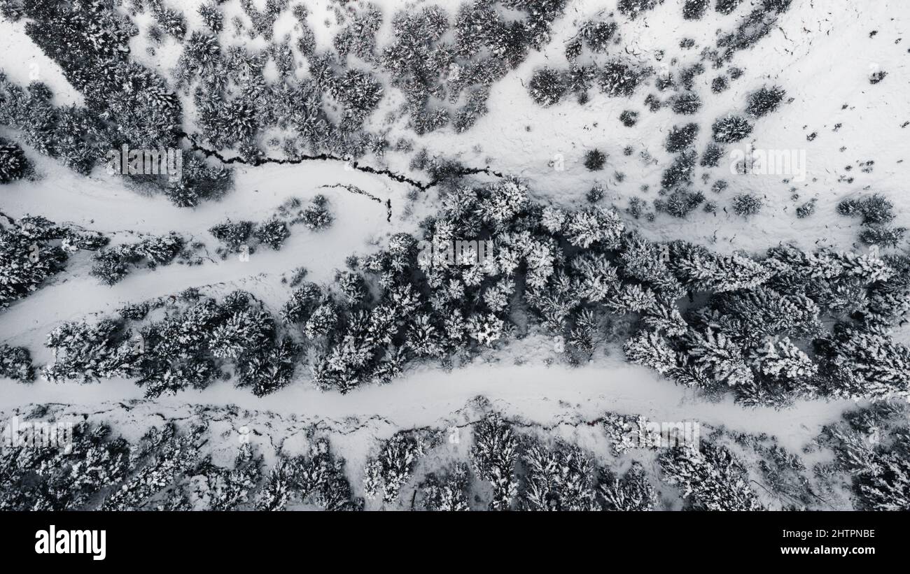 Aerial view of snowy white trees on a mountain Stock Photo - Alamy