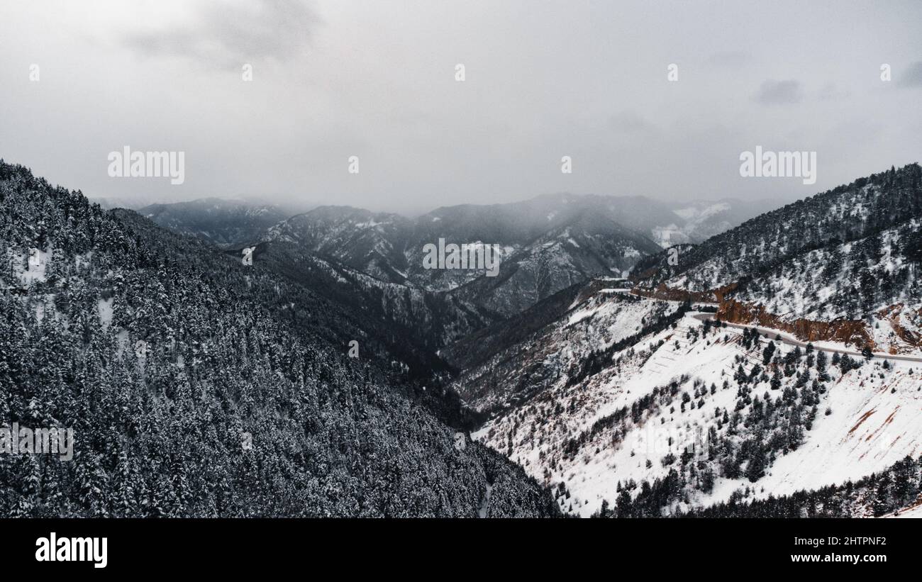 Aerial view of snowy mountains with forests Stock Photo - Alamy