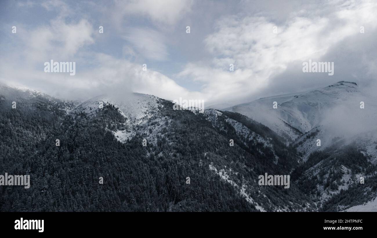 Aerial view of snowy mountains with forests Stock Photo - Alamy