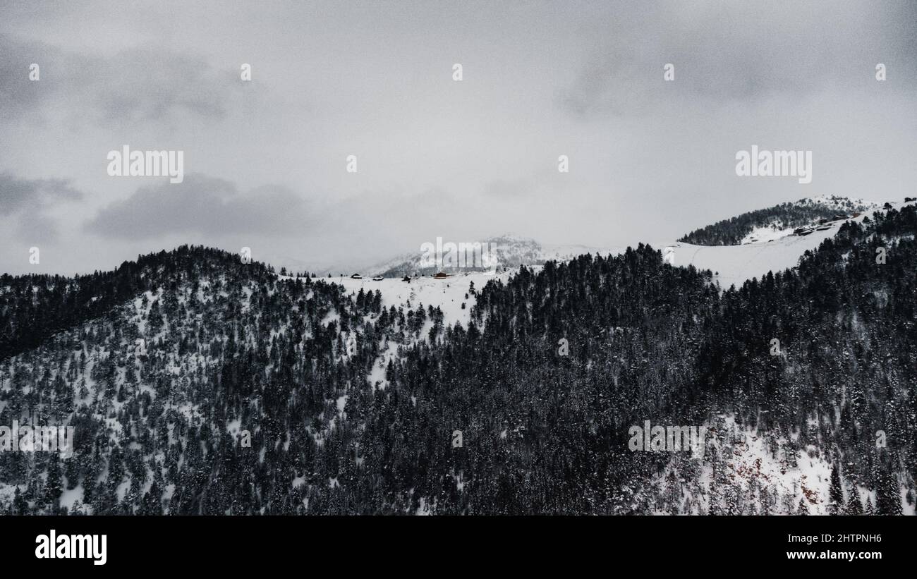 Aerial view of snowy mountains with forests Stock Photo - Alamy