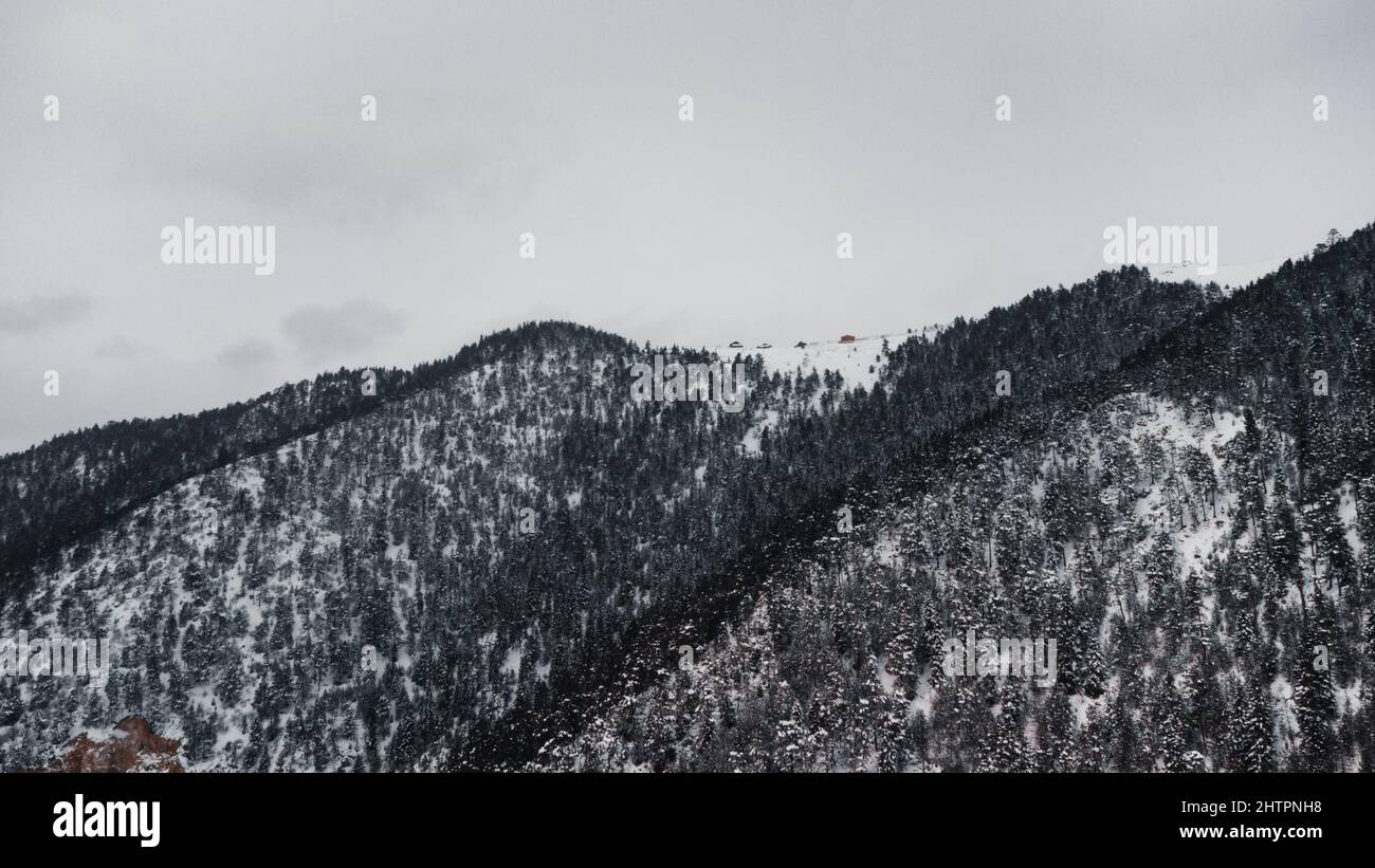 Aerial view of snowy mountains with forests Stock Photo - Alamy