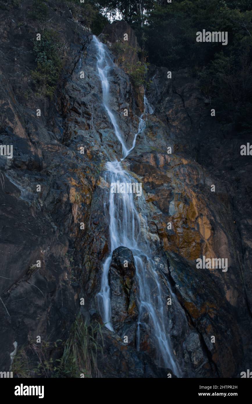 Vertical shot of a waterfall flowing in the beautiful forest Stock ...