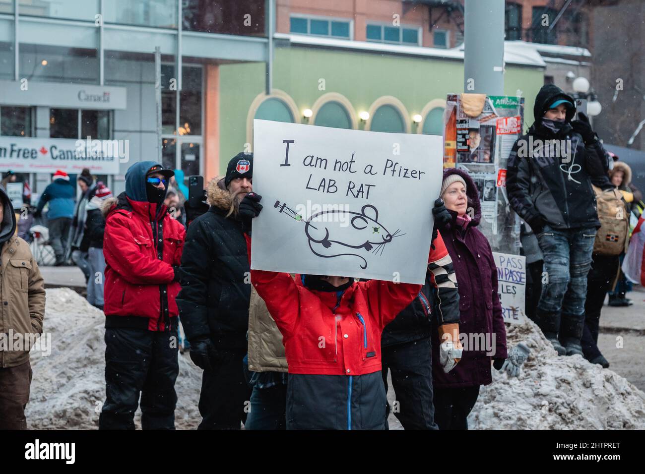 Boy holding up a sign demonstrating he is not a lab rat at the Freedom Convoy protest Stock Photo