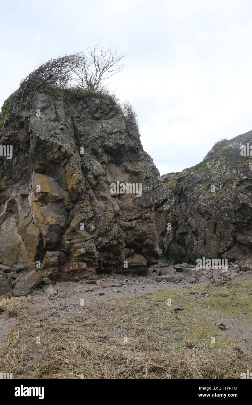 Weathered rock on Ayrshire coast  which resembles a man face in profile Stock Photo