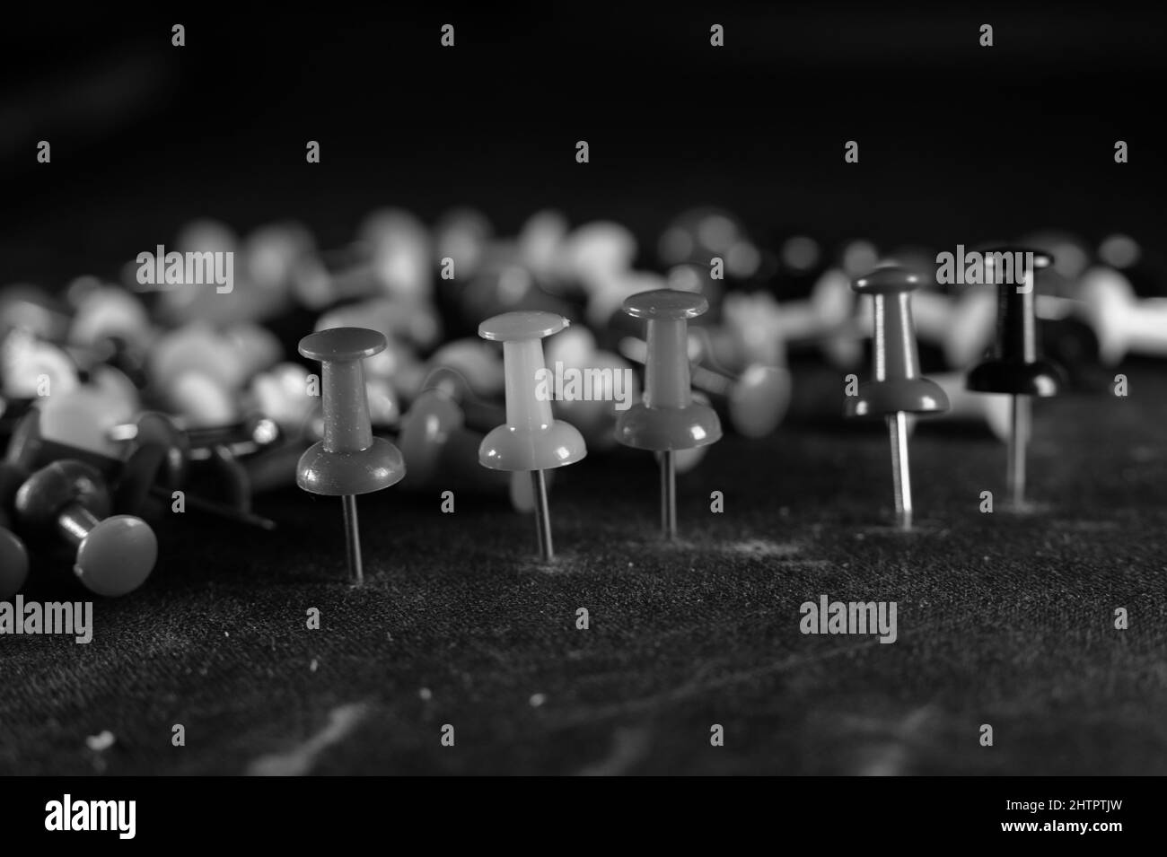 Drawing pins Black and White Stock Photos & Images Alamy