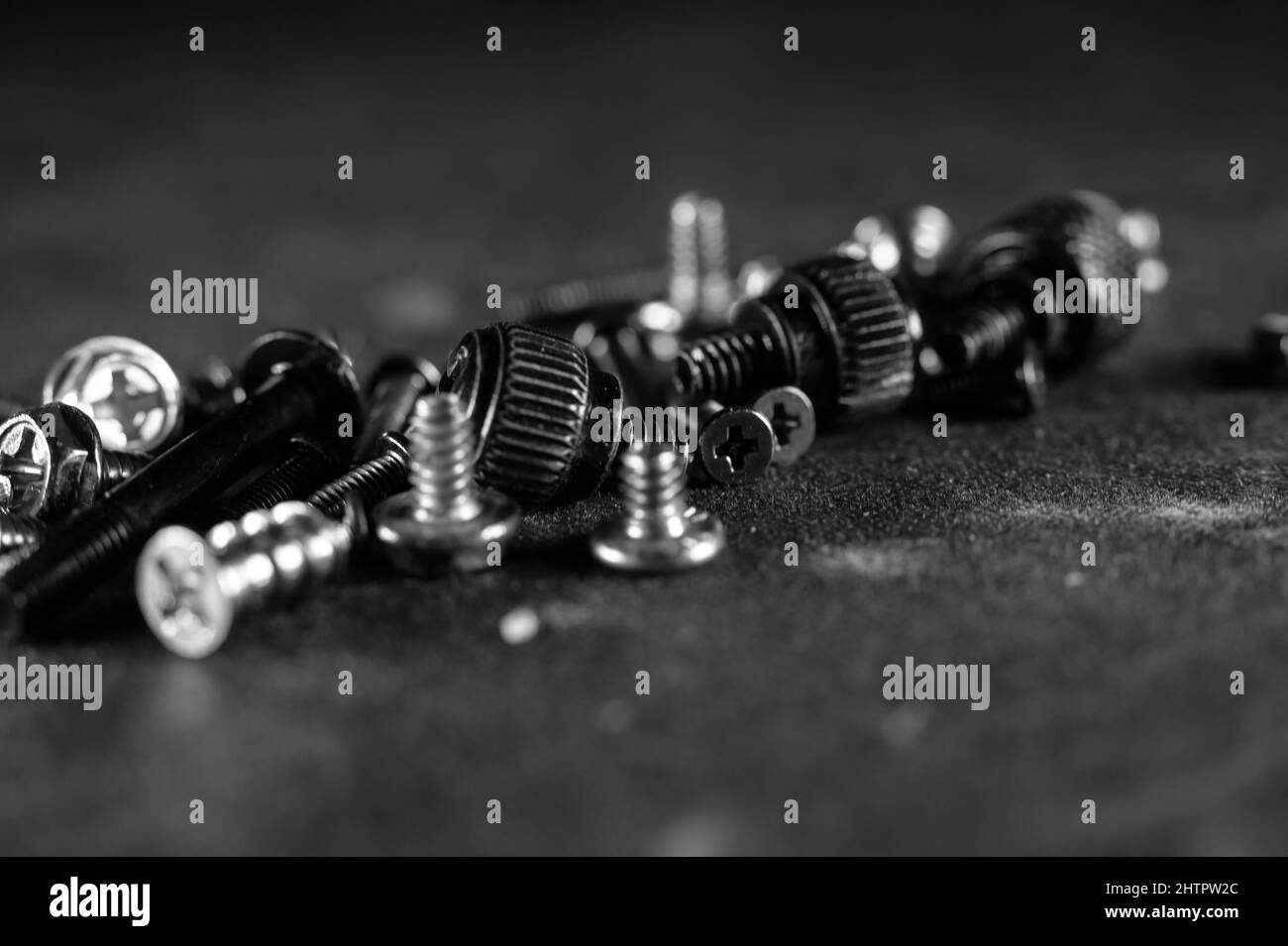 Grayscale shot of screws Stock Photo
