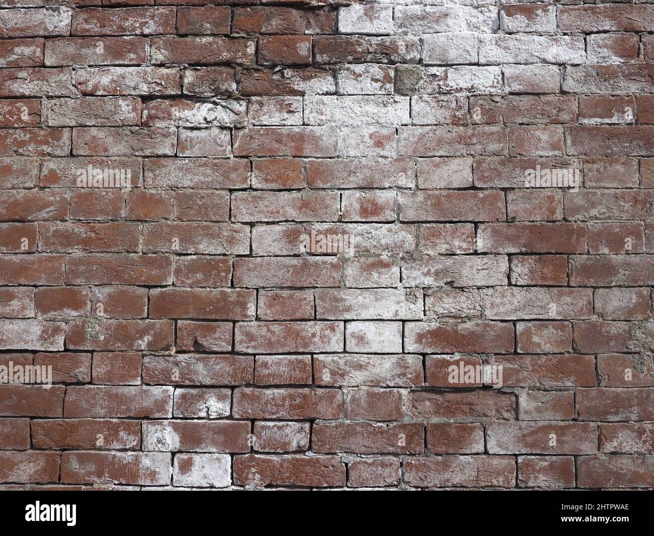 damage caused by efflorescence dampness and moisture on a red brick