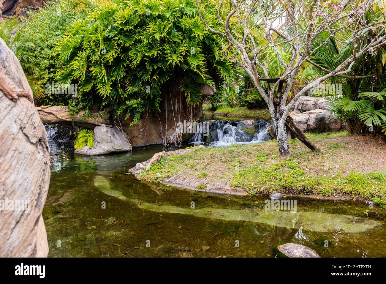 Small Creek Passing Through a Park Forming a Beautiful Waterfall. Stock Photo
