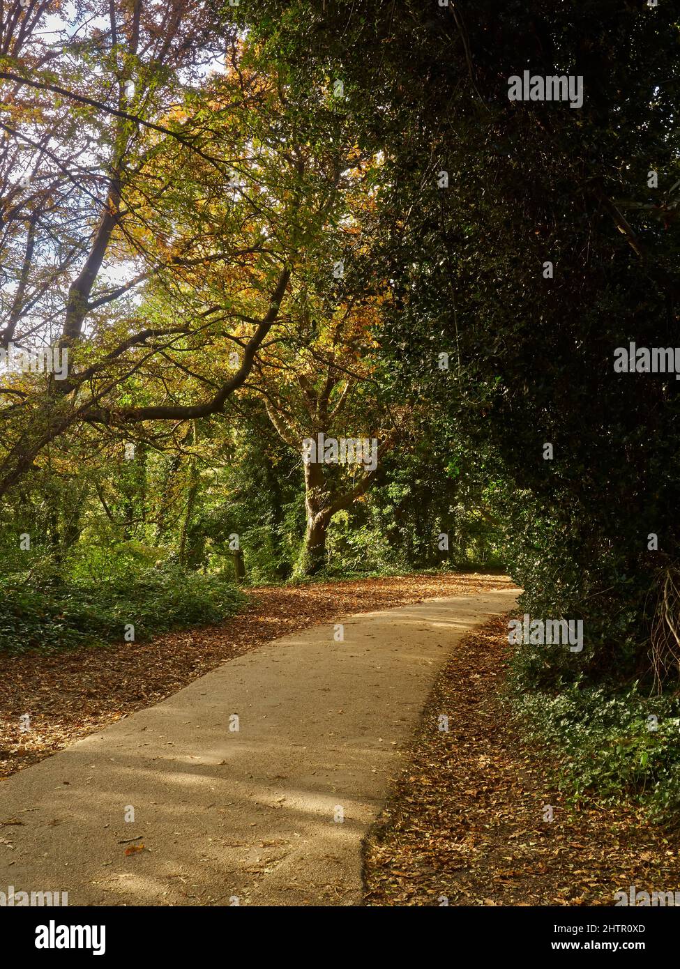 A dappled, tree-lined path through Hampstead Heath, leading off to the distance and inviting one forward through the autumn-touched greenery. Stock Photo