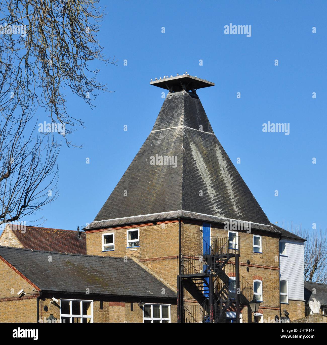 Old Maltings close to the River Lea, Ware, Hertfordshire, England, UK Stock Photo