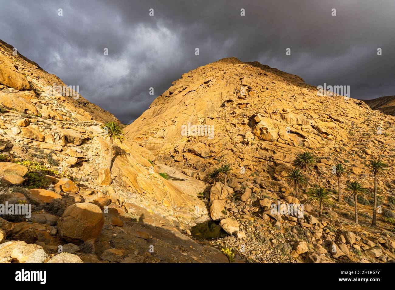 Sandstone rocks under the storm clouds in summer, Barranco de las Penitas, Fuerteventura, Canary Islands, Spain Stock Photo