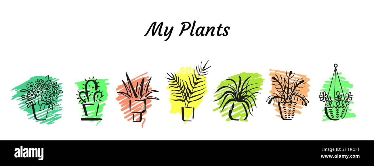 Outlines of various potted room plants on colour spots backgrounds. Sketchy home decorative plants. Collection of doodle design elements Stock Vector