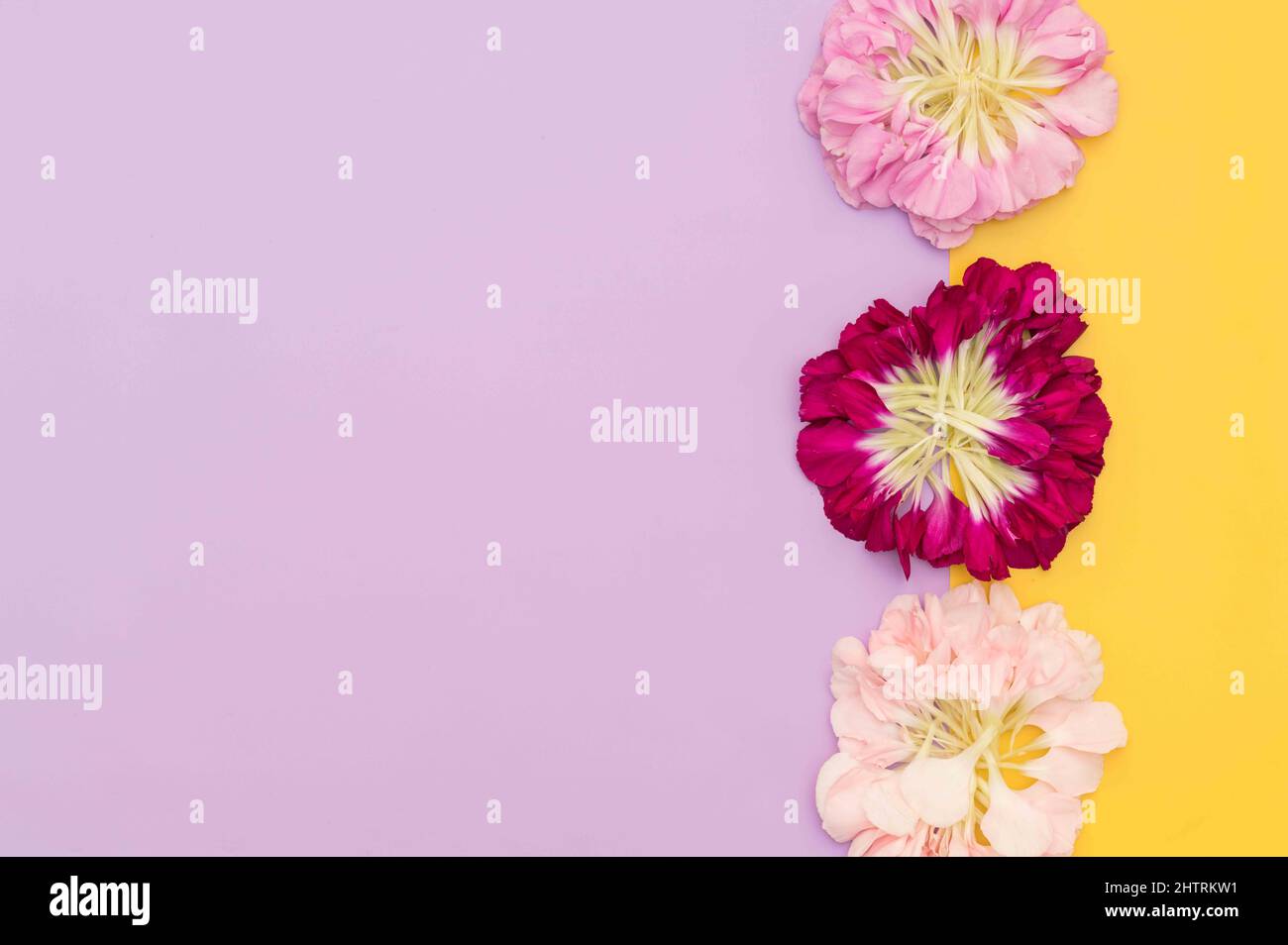 Colorblock hi-res stock photography and images - Alamy