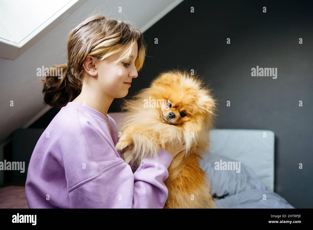 Owner teen girl taking care of their pets, feeding, grooming, play with dog Stock Photo