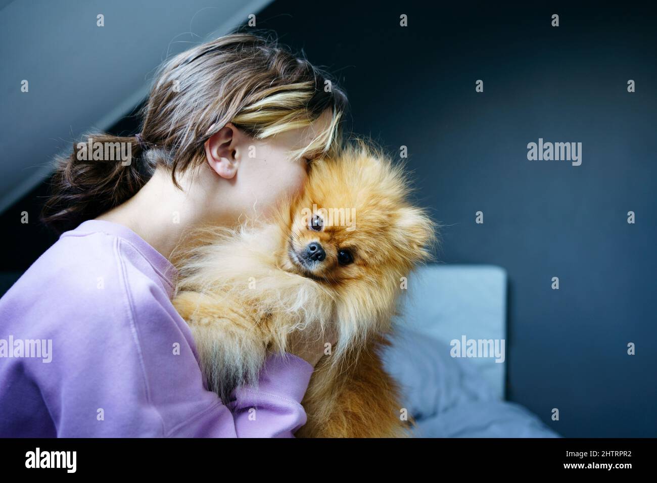 Owner teen girl taking care of their pets, feeding, grooming, play with dog Stock Photo