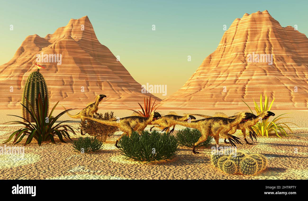 A pack of theropod Beipiaosaurus dinosaurs travel through cactus plants in a desert area of China. Stock Photo