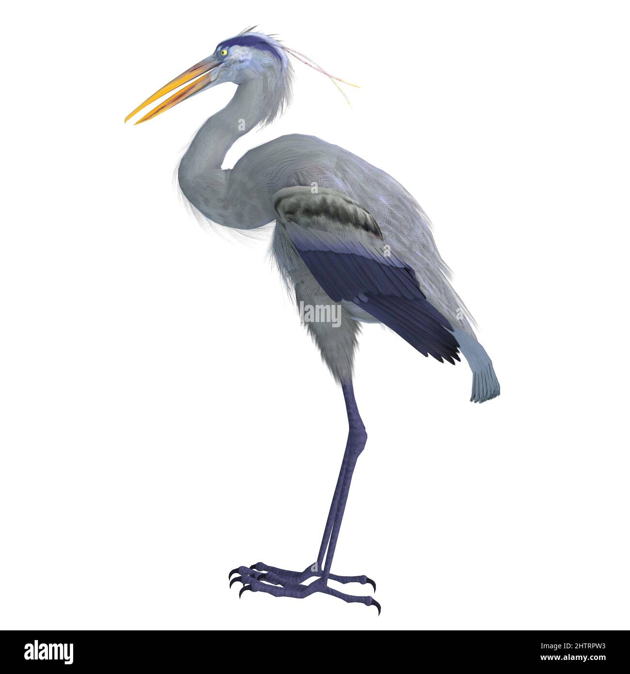 The Bennu Heron is an extinct bird that is depicted as a deity and icon in Egyptian mythology. Stock Photo