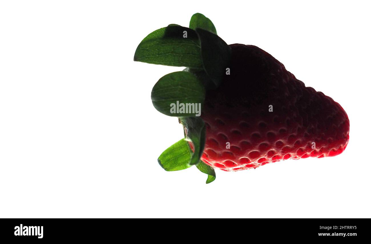 Closeup shot of a single strawberry isolated on white background Stock ...