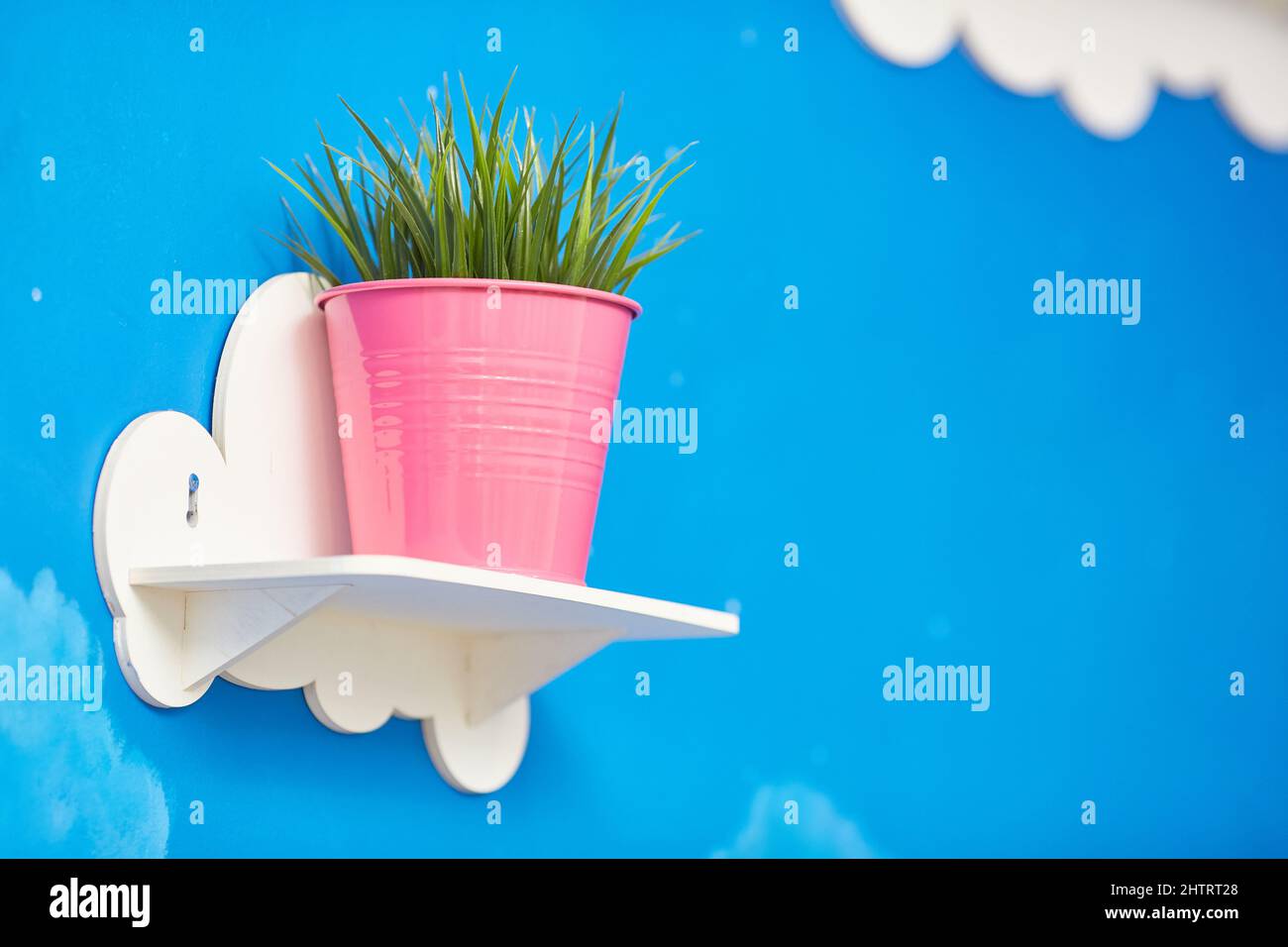 Interior decor. pink flower pot with green plant on white wooden shelf Stock Photo