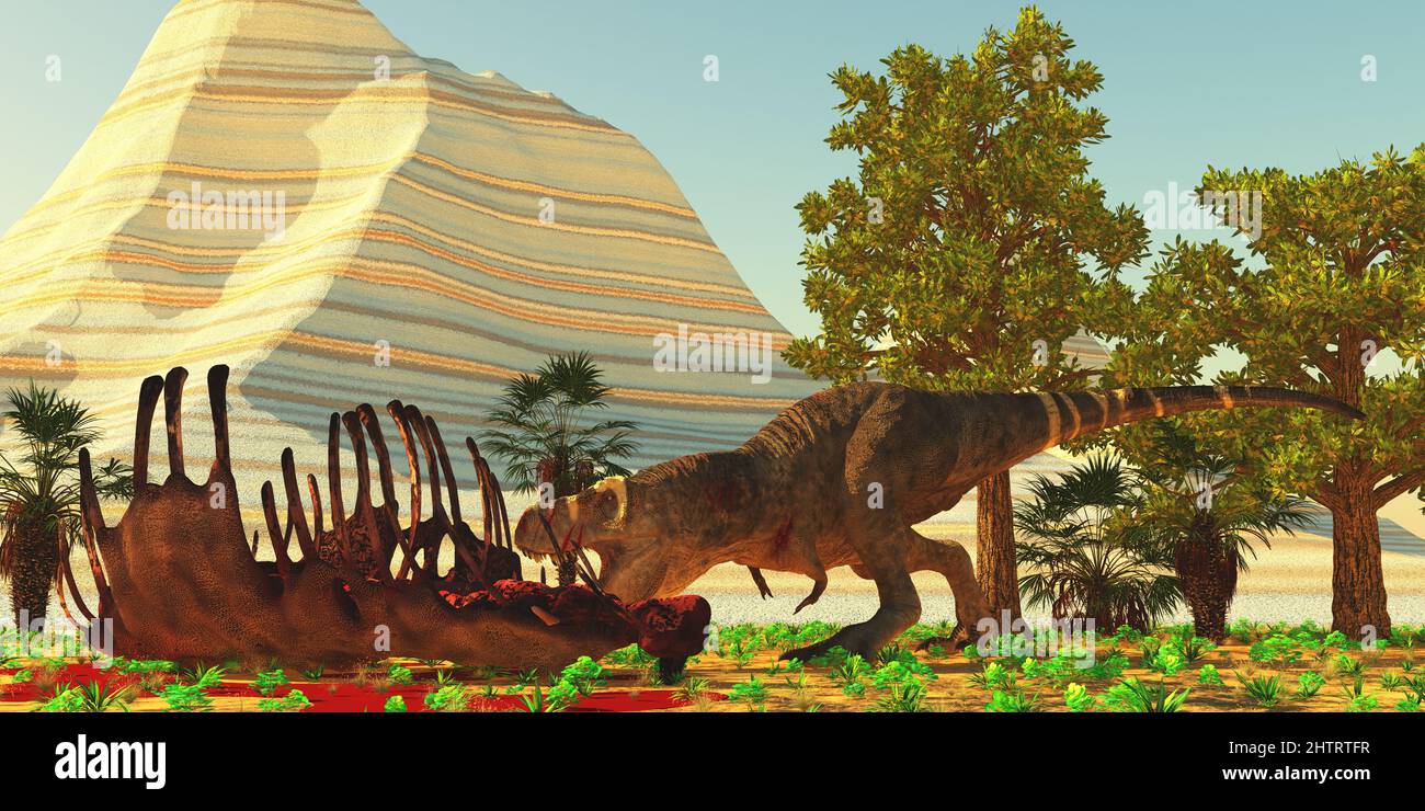 After killing an Alamosaurus a Tyrannosaurus rex dinosaur eats his fill of meat. Stock Photo