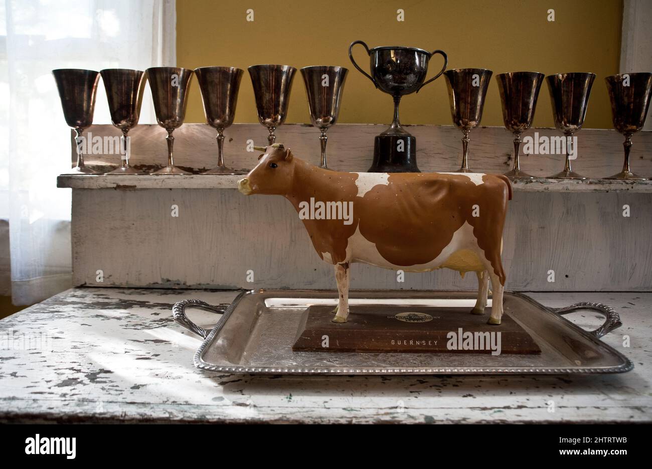 Milk cup trophy hires stock photography and images Alamy