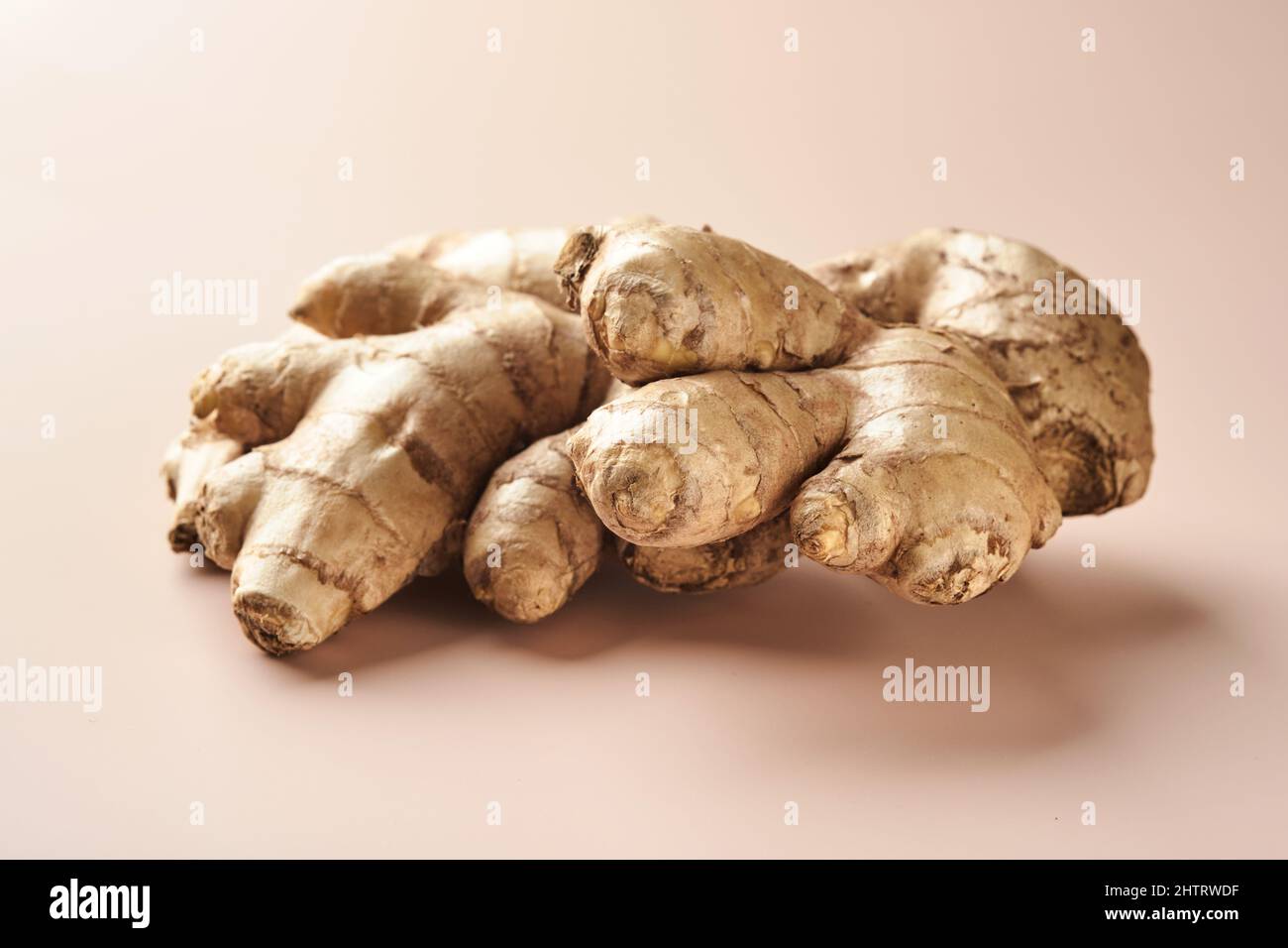 Indian root hires stock photography and images Alamy