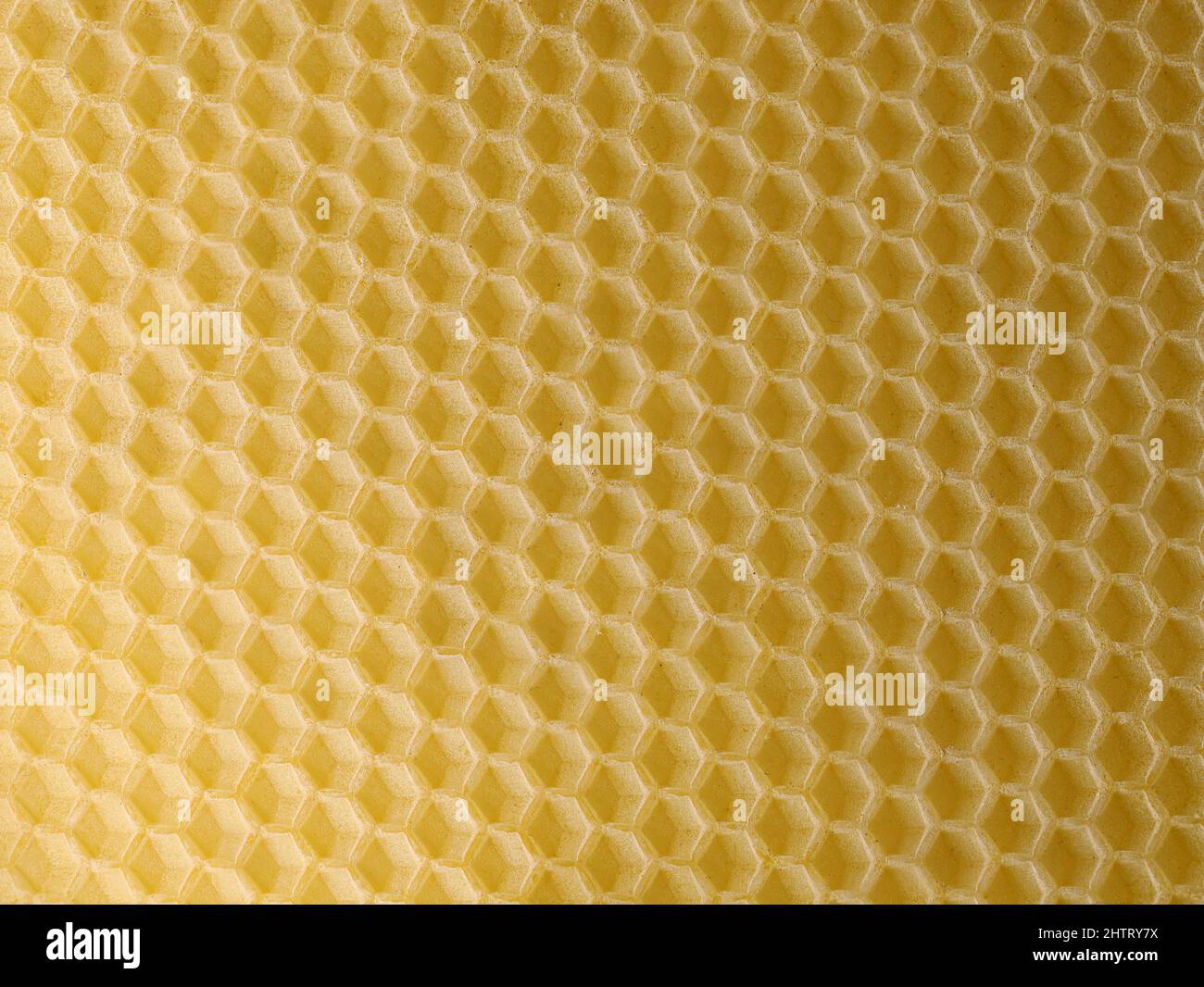 Wax sheet of yellow empty bees cells, yellow natural hexagon texture background Stock Photo