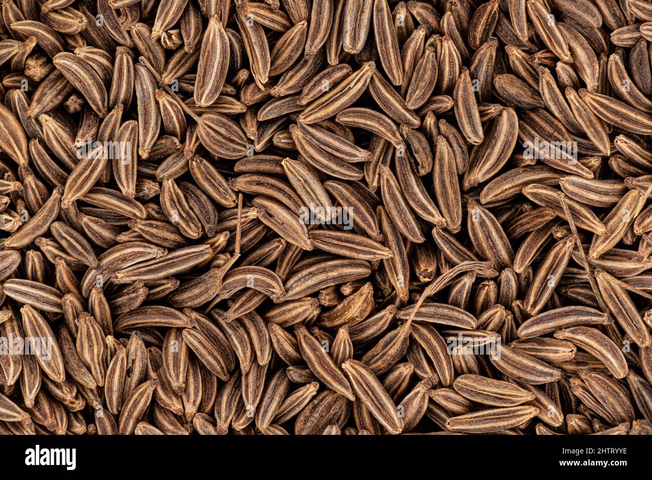 Closeup detail of caraway seeds - meridian fennel - Carum carvi shot from above, image width 23mm Stock Photo