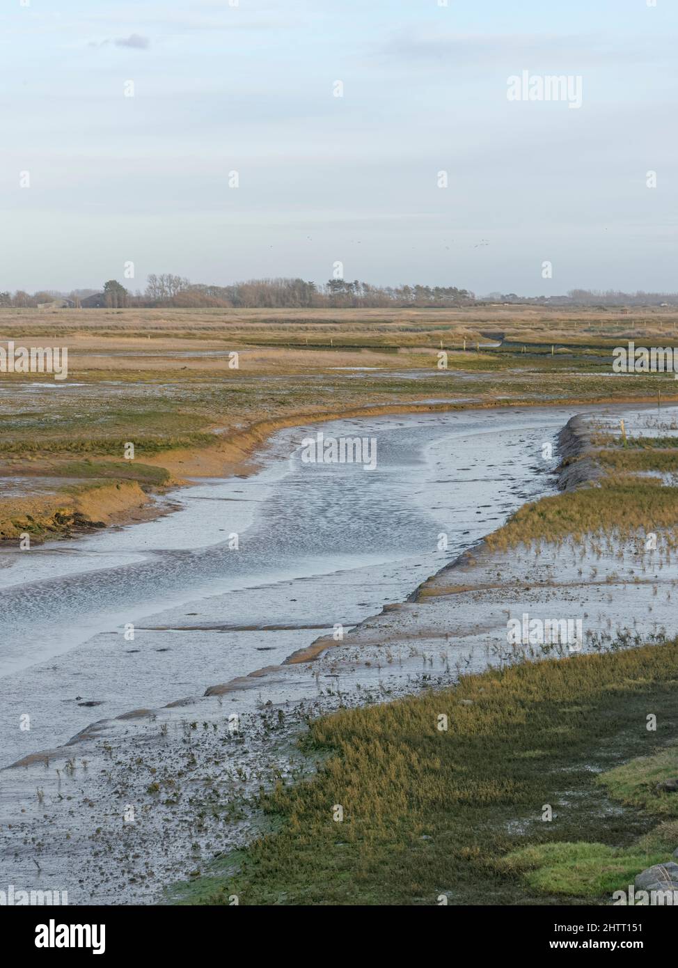 Saltmarshes and mudflats developing in former farmland after managed realignment of coastal defences by a tidal breach, RSPB Medmerry, West Sussex UK Stock Photo