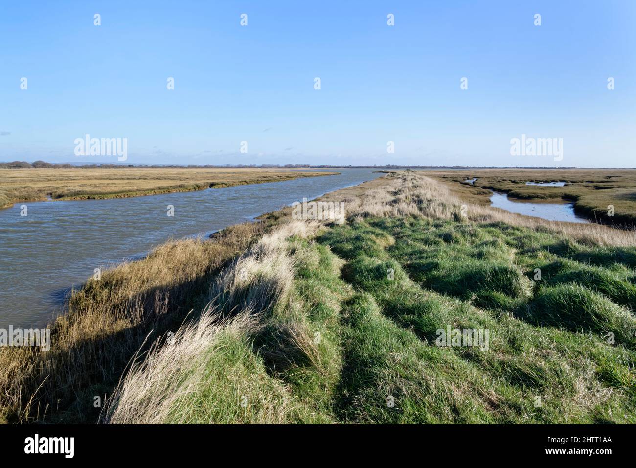 Ferry Channel flooded by a rising tide bordered by saltmarshes with flooded pools, RSPB Pagham Harbour Nature Reserve, West Sussex, UK, February. Stock Photo