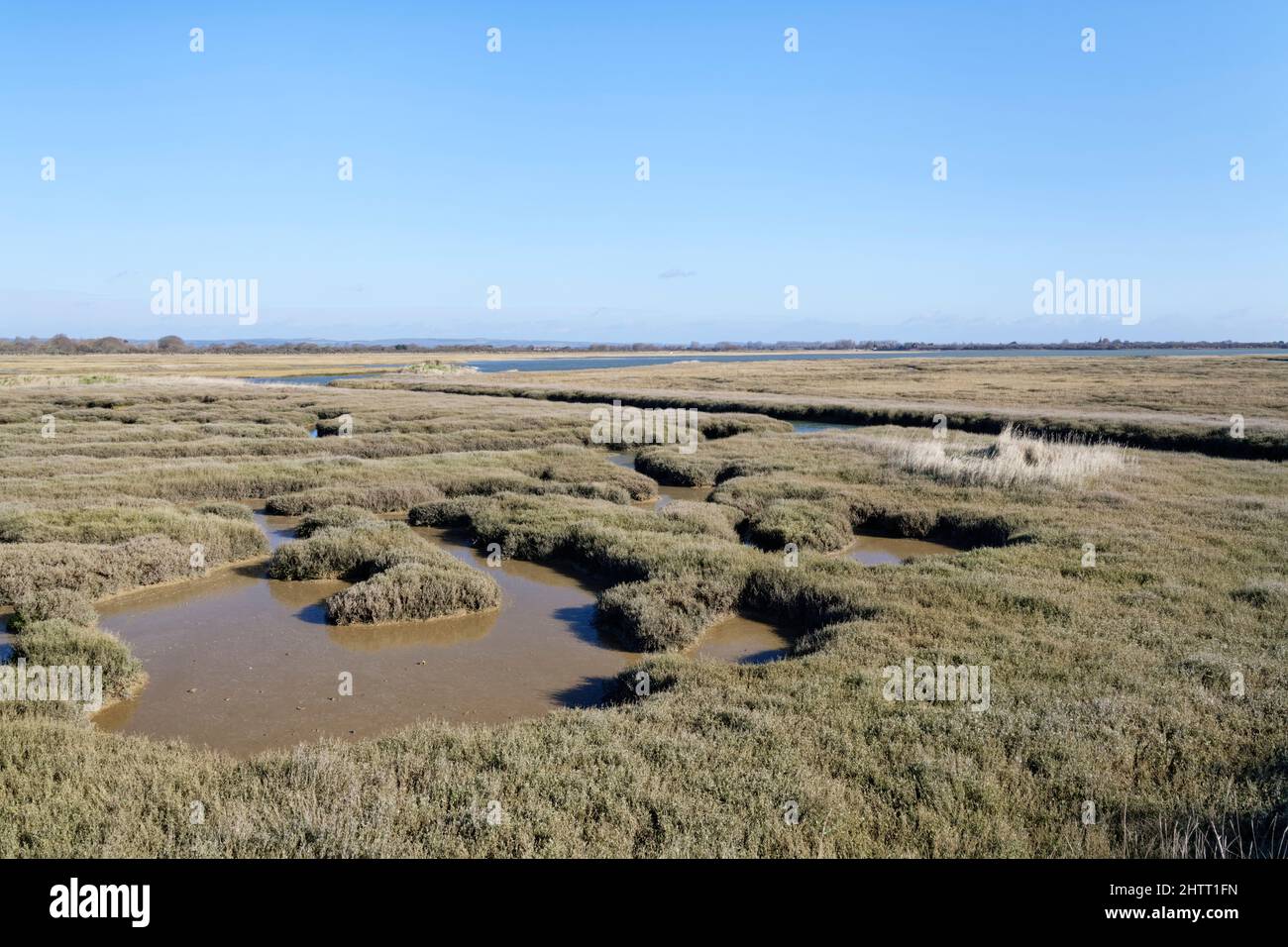 Saltmarsh pools partly filled by a rising tide, RSPB Pagham Harbour Nature Reserve, West Sussex, UK, February. Stock Photo