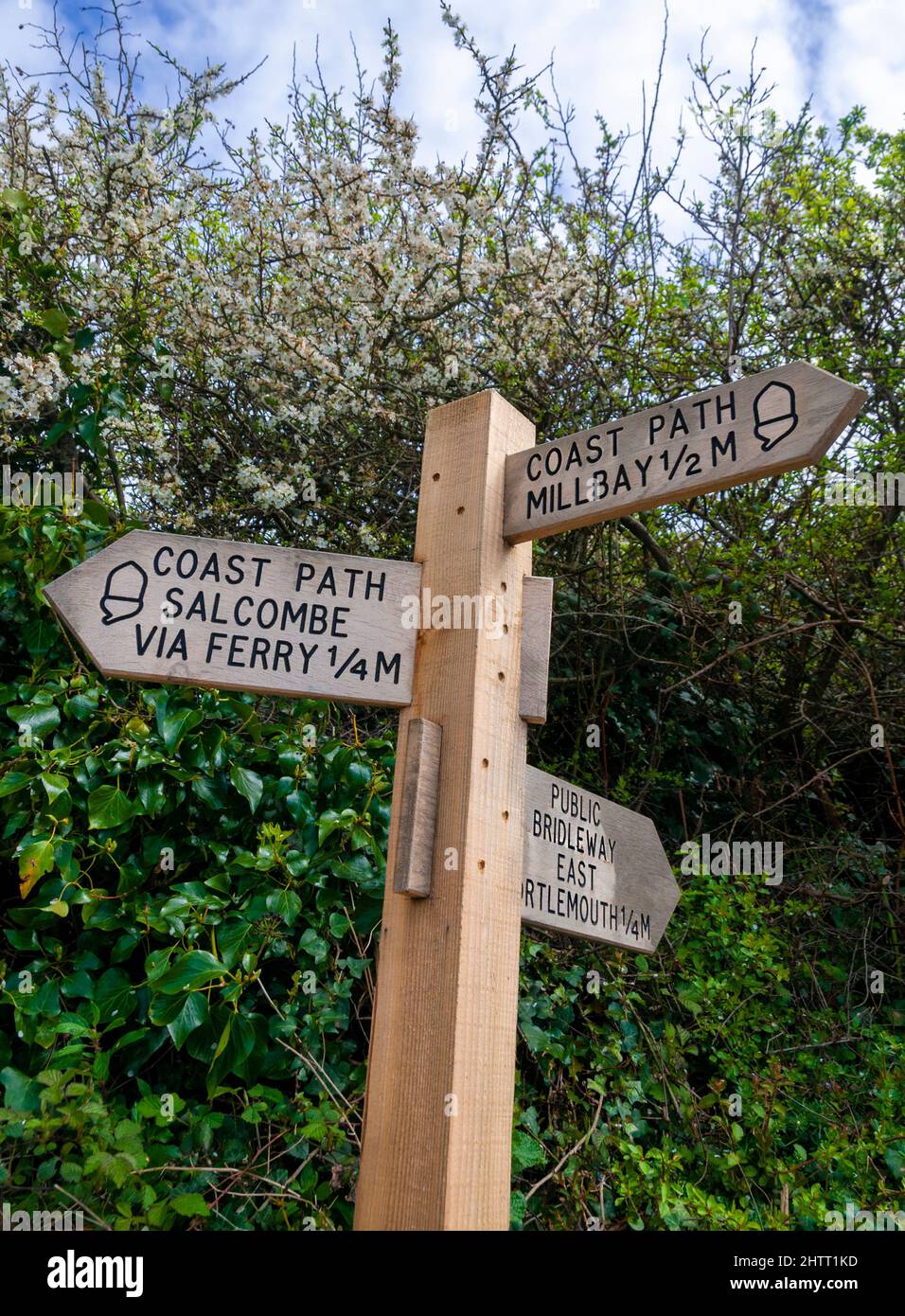 Acorn waymarkers on a traditional signpost showing the English Coast Path near Salcombe, Devon, Southwest England, UK Stock Photo