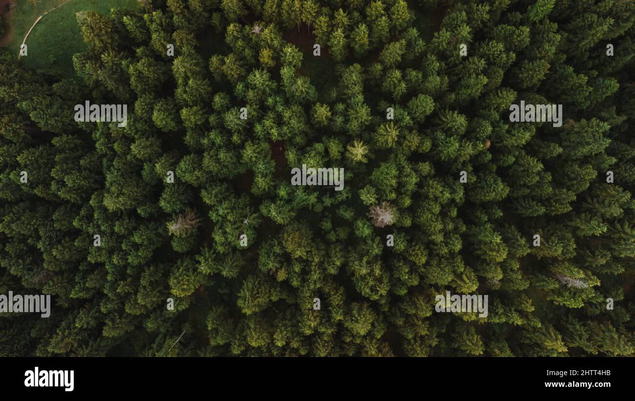 Aerial view of a mountain with forest Stock Photo - Alamy