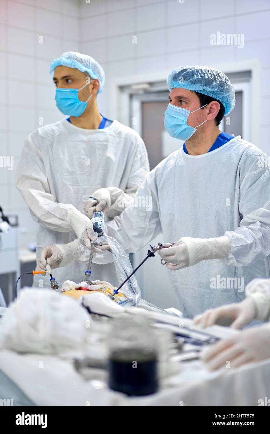surgeon performs an endoscopic operation Stock Photo Alamy