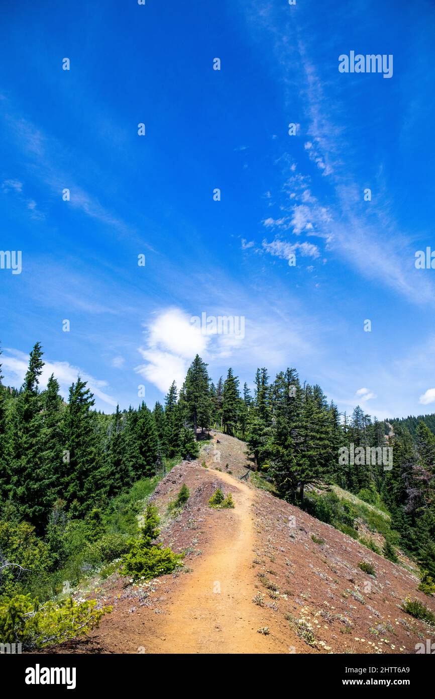 Vertical shot of a trail along mountain ridge stretching into the ...