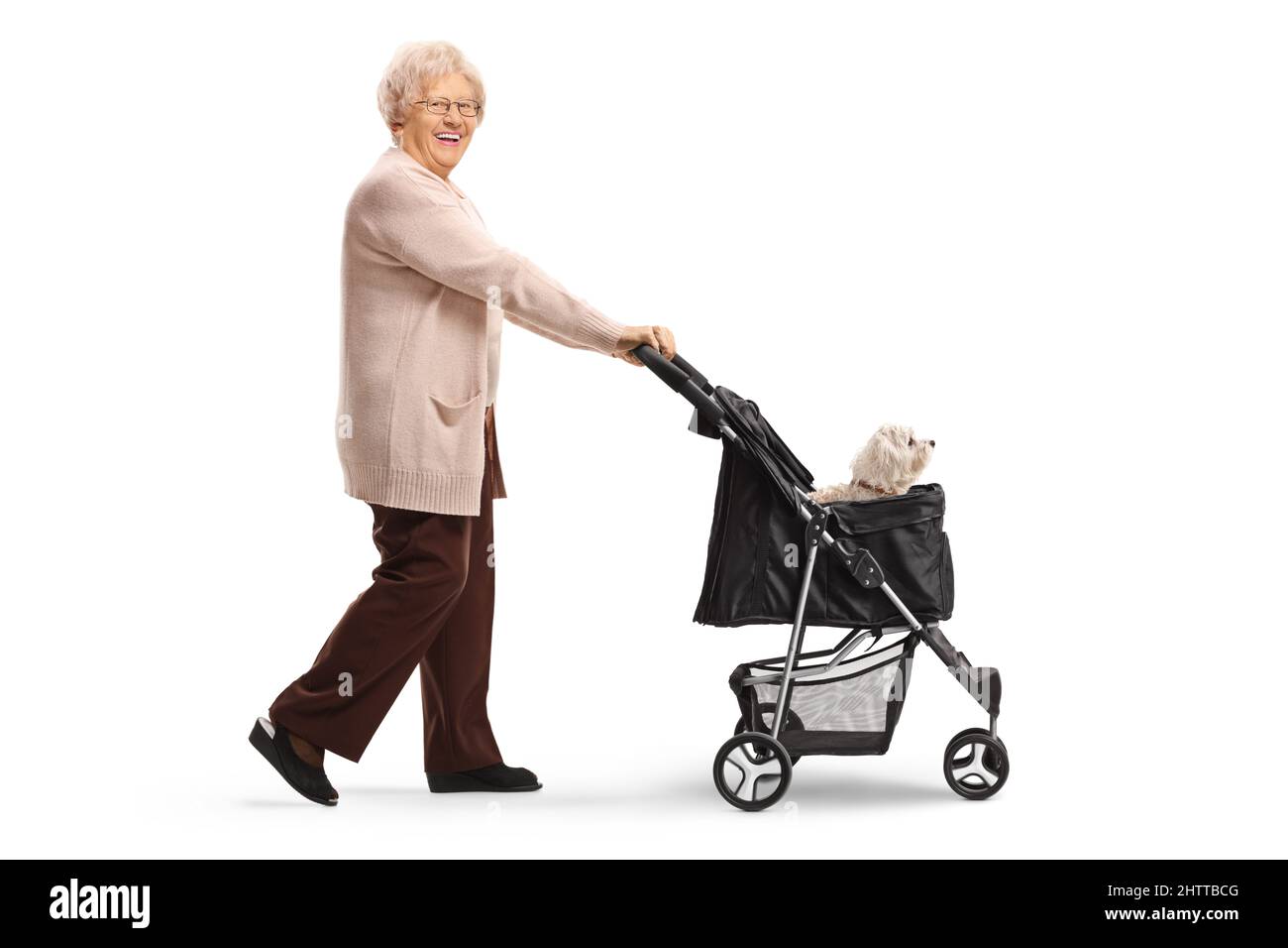 Full length profile shot of an elderly woman walking with a maltese poodle in a dog stroller isolated on white background Stock Photo