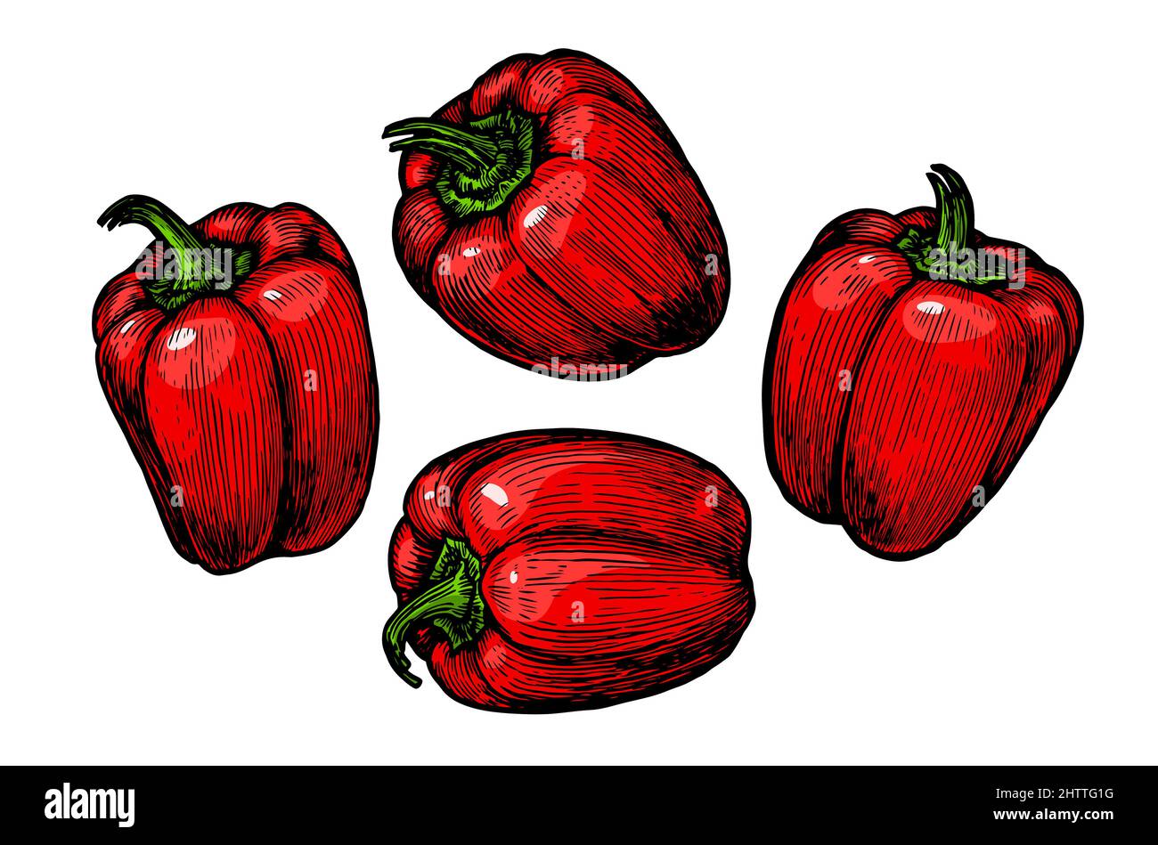 Red Bell Pepper Isolated on white background. Collection Set ...