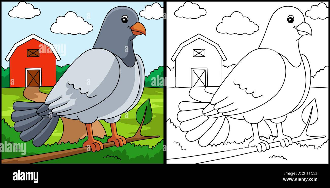 Pigeon Drawing Images - Free Download on Freepik